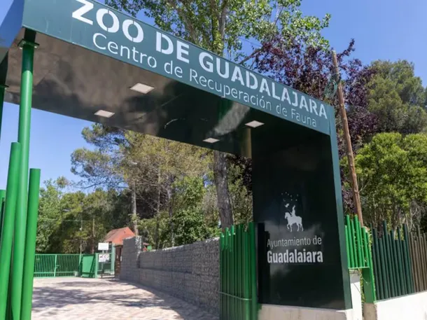 zoo-guadalajara-mexico (1)