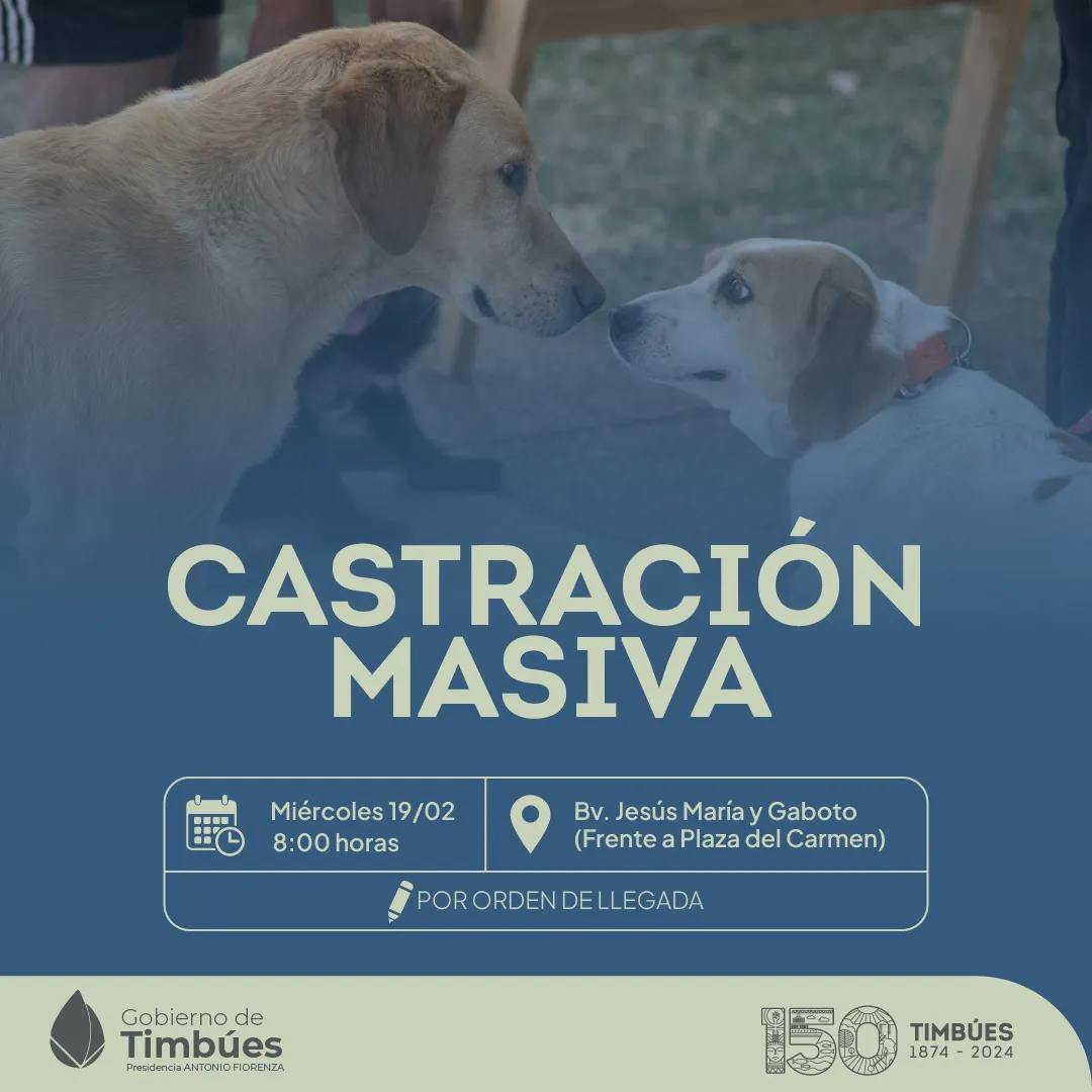 723282ee-0e74-4f93-86c0-9cd175810988