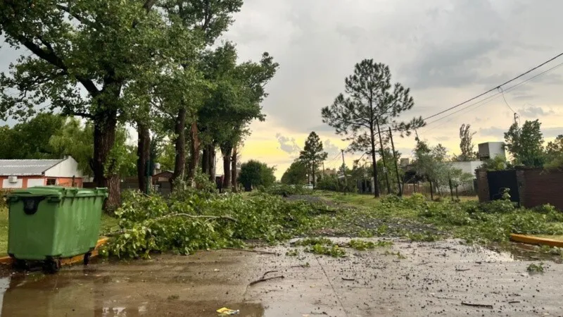 roldan_x2x.jpeg_1756841869