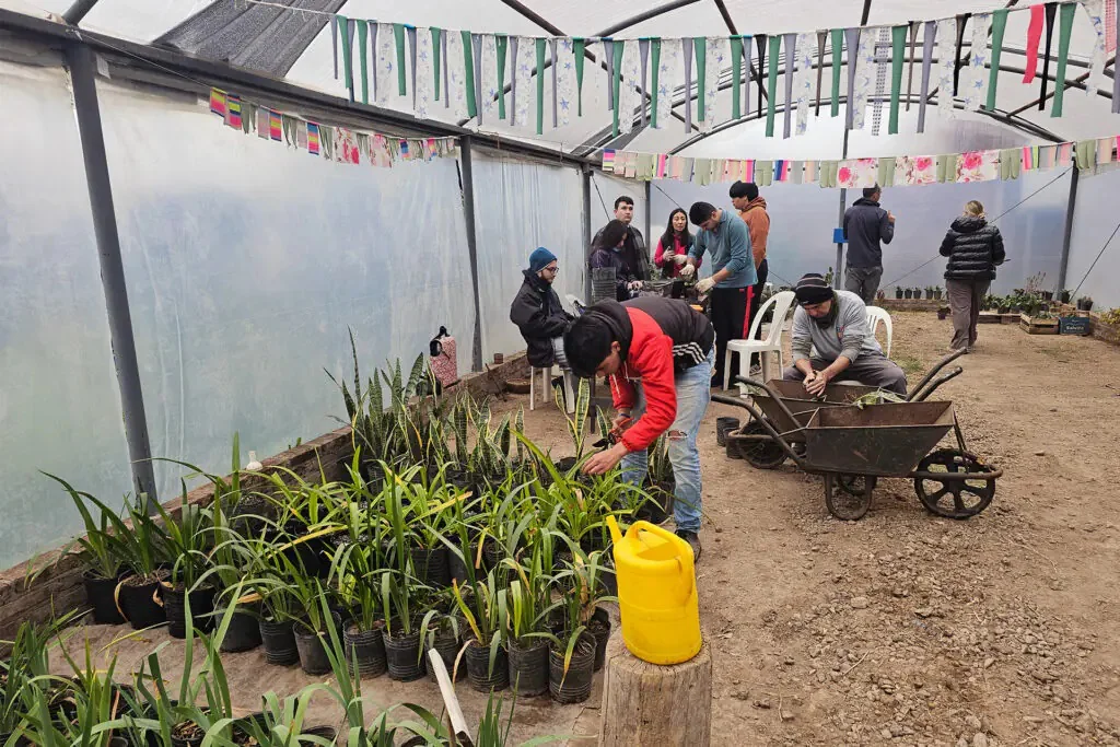 vivero 3
