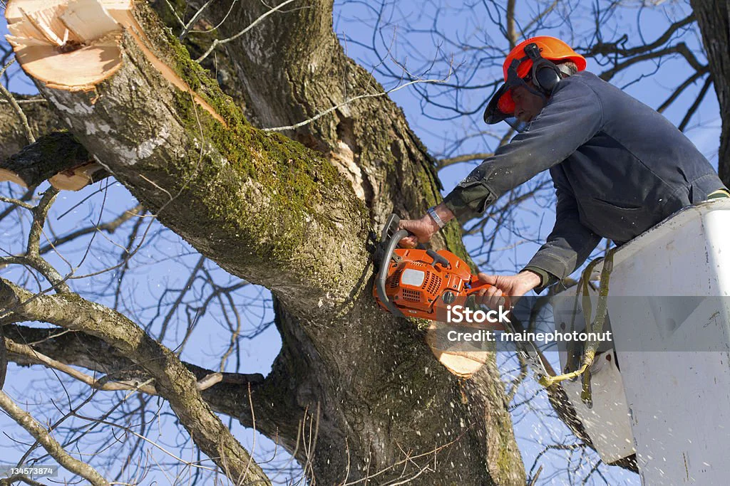 istockphoto-134573874-1024x1024