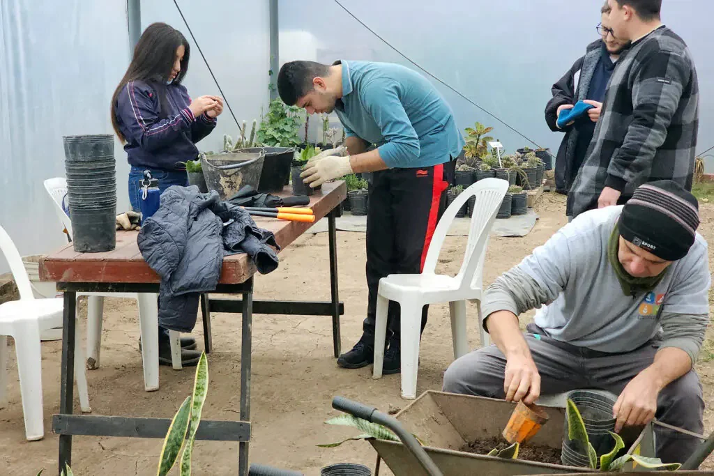 vivero 1