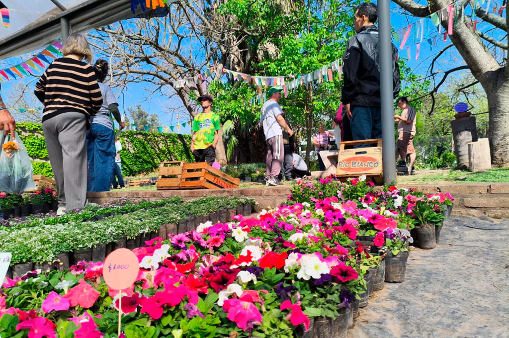 vivero1-1024x680