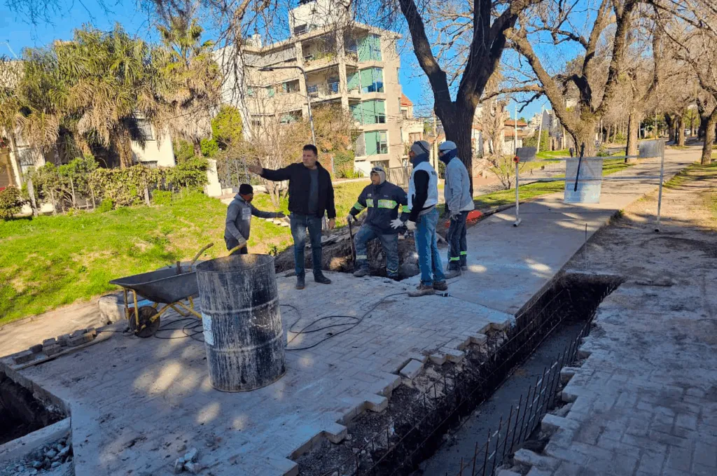 obra_campogl-1024x680