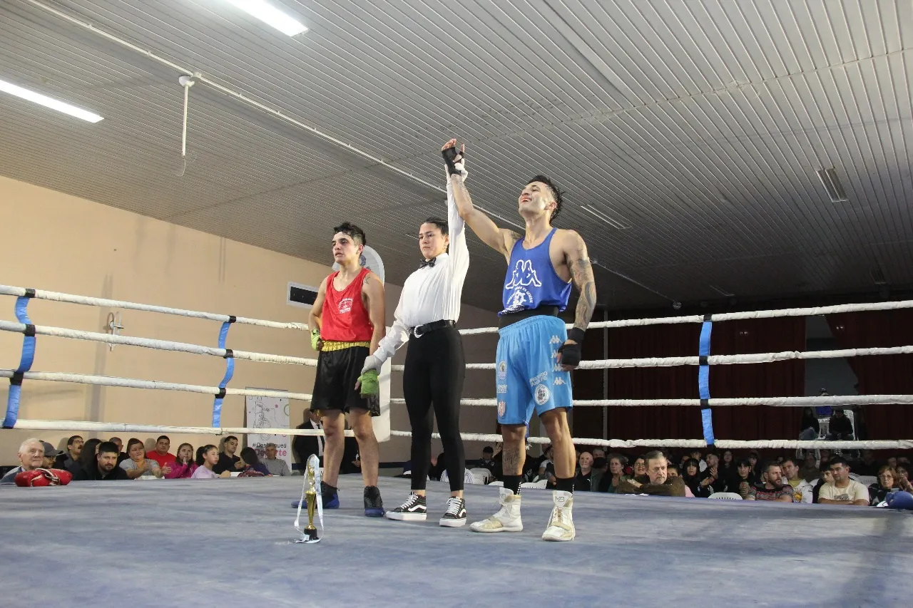 Boxeo T 6