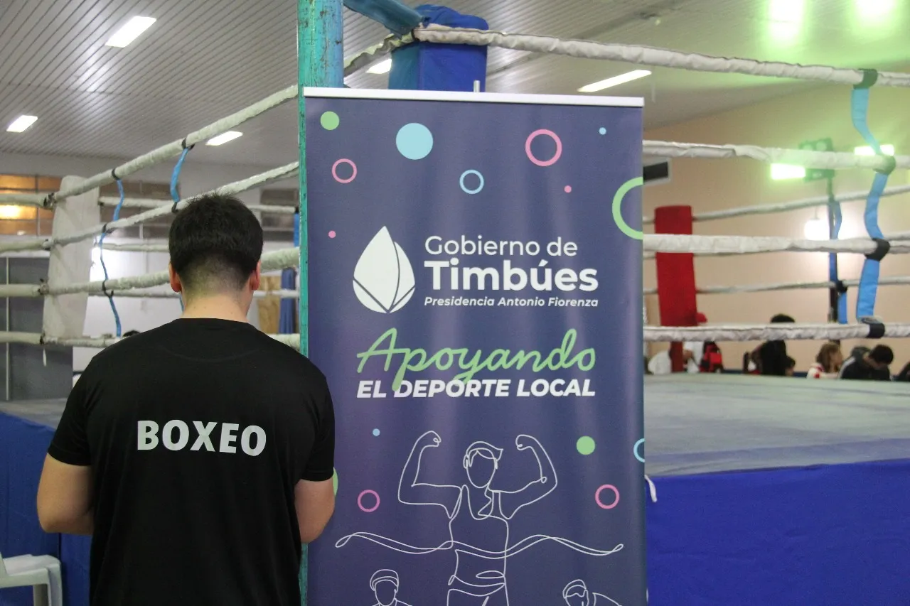 Boxeo T 3