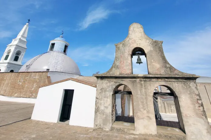 WhatsApp-Image-2025-01-31-at-11.19.41